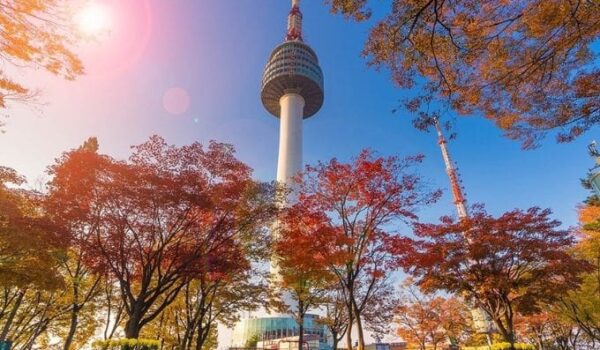 Du lịch Hàn Quốc: Seoul – Nami – Everland