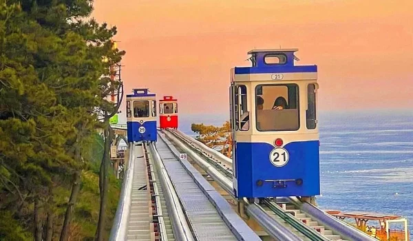 Hàn Quốc mùa hoa anh đào